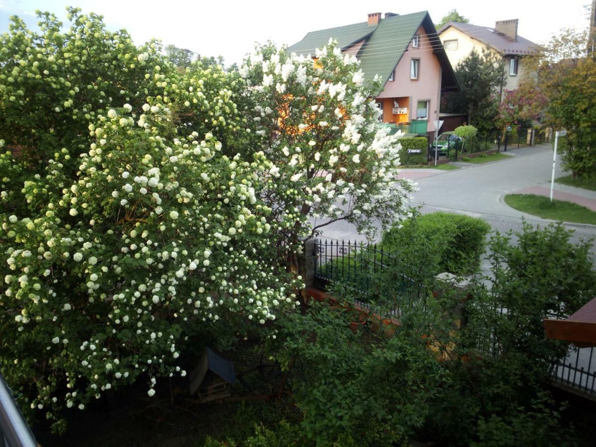 Mieszkanie Na Zielonej Tanie I Wygodne Noclegi Człuchów Esterno foto